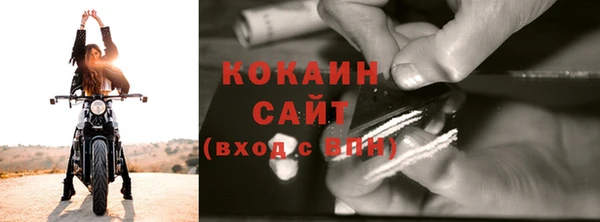 сатива Волосово