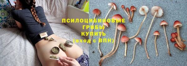 сатива Волосово