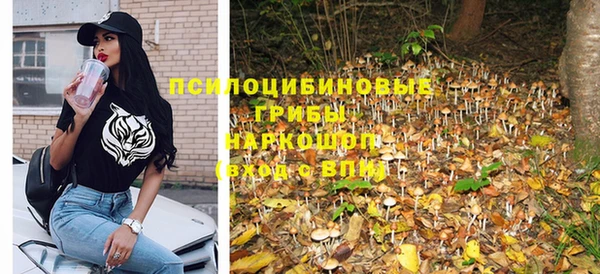 сатива Волосово